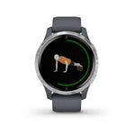 Garmin, Venu, Watch, Watch Color: Black/ Grey, Wristband: Granite Blue - Silicone, 010-02173-01
