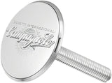 Campagnolo Stem Cap Brevetti Internazionali Silver