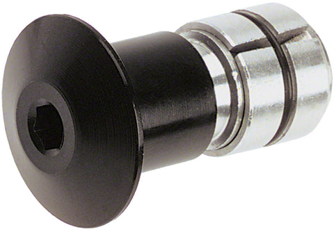 Problem Solvers 1 1/8 Carbon Fork Plug