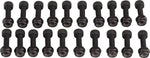 RaceFace Chester Pedal Pin Kit 20 Pins Black