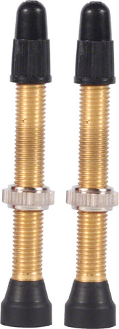 WTB Brass TCS Valve 34mm Pair