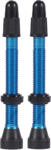 WTB Aluminum TCS Tubeless Valves 46mm Blue Pair