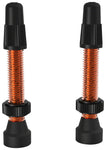 WTB Aluminum TCS Tubeless Valves 46mm Orange Pair