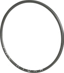 H Plus Son The Hydra Rim 700 Disc GRAY 24h
