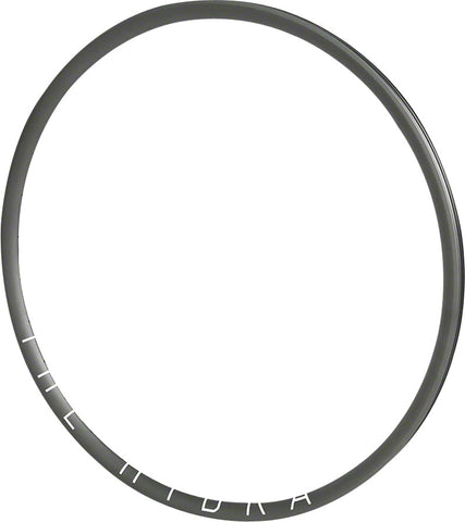 H Plus Son The Hydra Rim 700 Disc GRAY 24h