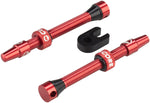 CushCore 55mm Valve Set Red