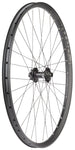 Hope Fortus 30 Pro 4 Front Wheel 29 15 x 110mm Boost 6Bolt Black