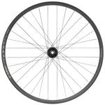 Hope Fortus 30 Pro 4 Front Wheel 29 15 x 110mm Boost 6Bolt Black