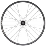 Hope Fortus 30 Pro 4 Front Wheel 29 15 x 110mm Boost 6Bolt Black