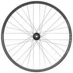 Hope Fortus 30 Pro 4 Front Wheel 29 15 x 110mm Boost 6Bolt Black