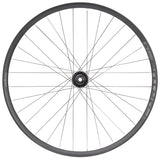 Hope Fortus 30 Pro 4 Front Wheel 29 15 x 110mm Boost 6Bolt Black