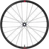 Fulcrum Rapid Red 5 DB Wheelset 700 12/15x100/142mm CenterLock HG 11