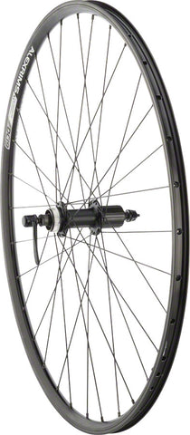 Quality Wheels Value Double Wall Series Rim+Disc Rear Rear Wheel 700 QR x