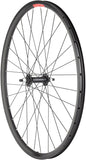 Sta-Tru Double Wall Front Wheel - 26 Bolt-On 3/8 x 100mm Black