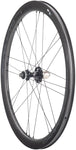 Campagnolo BORA WTO 45 Rear Wheel - 700 12 x 142mm Center-Lock HG 11